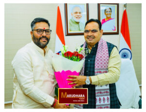 फाइल 