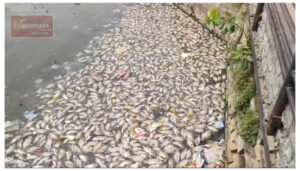 फाइल